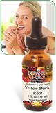 Yellowdock Root Liquid Extract for healthy blood levels